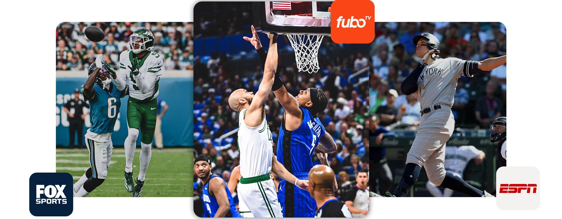 Live sports, all in one place